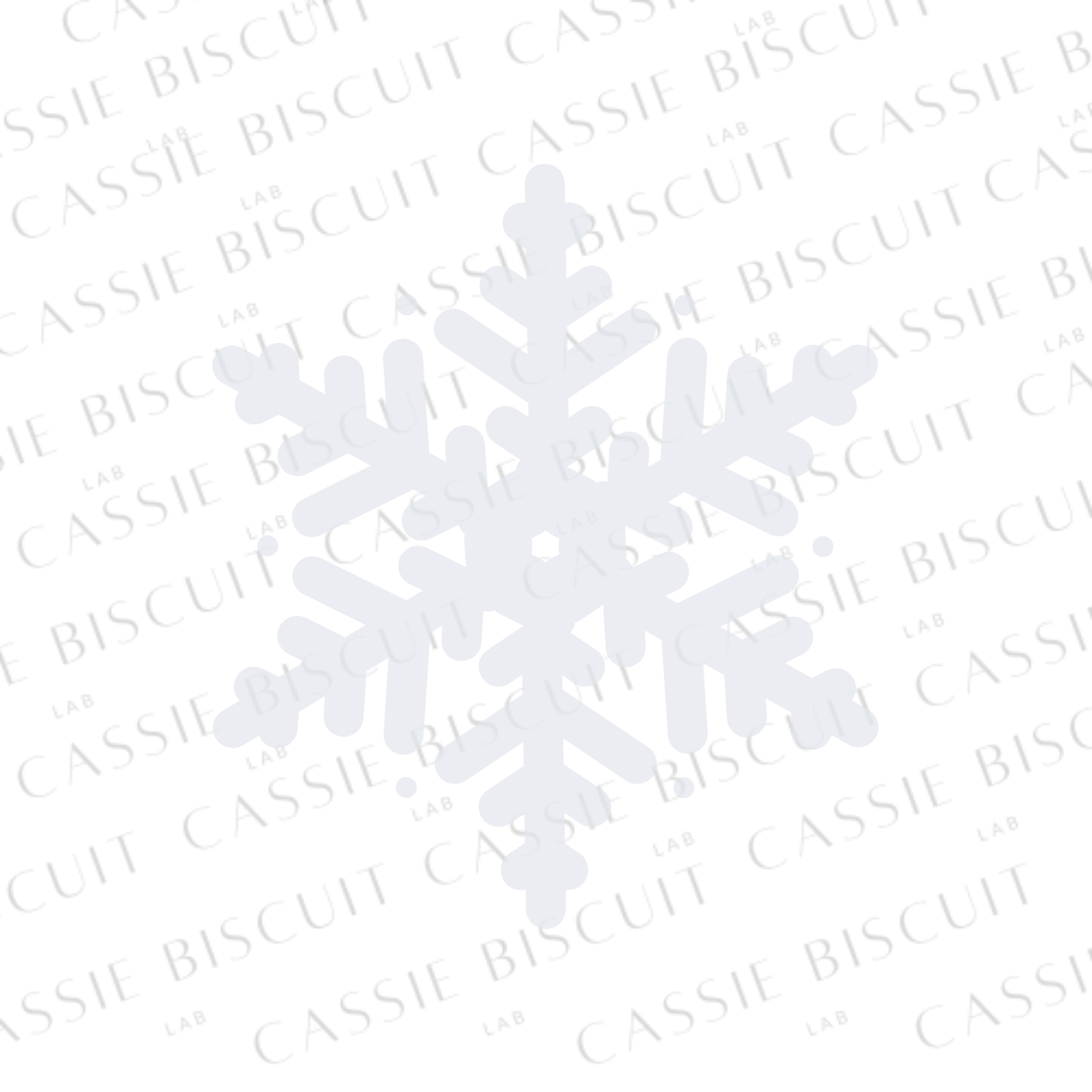 Emporte-Pièce -  Flocon de Neige 2
