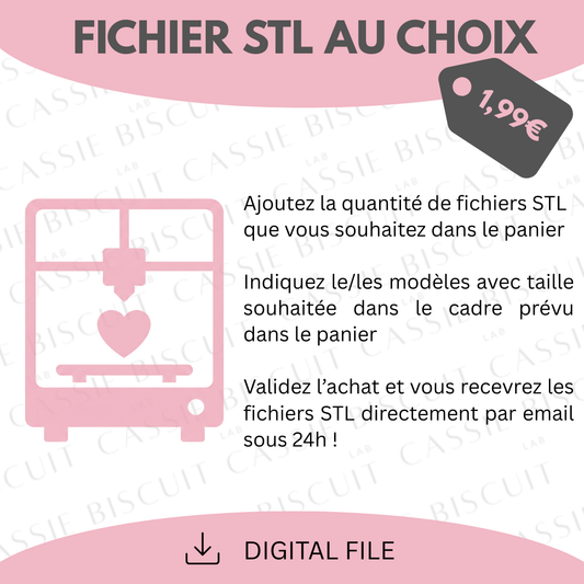 File STL di tua scelta (formato digitale)